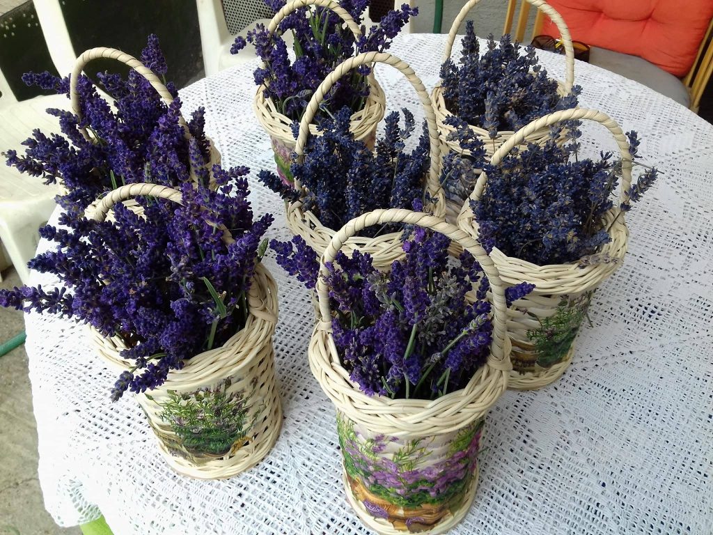 miklos-judit-leg-kezmuves-10