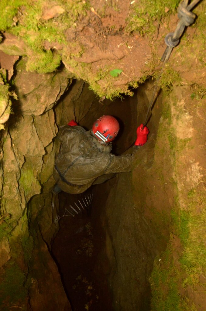 kecso-tengeri-liliom-3