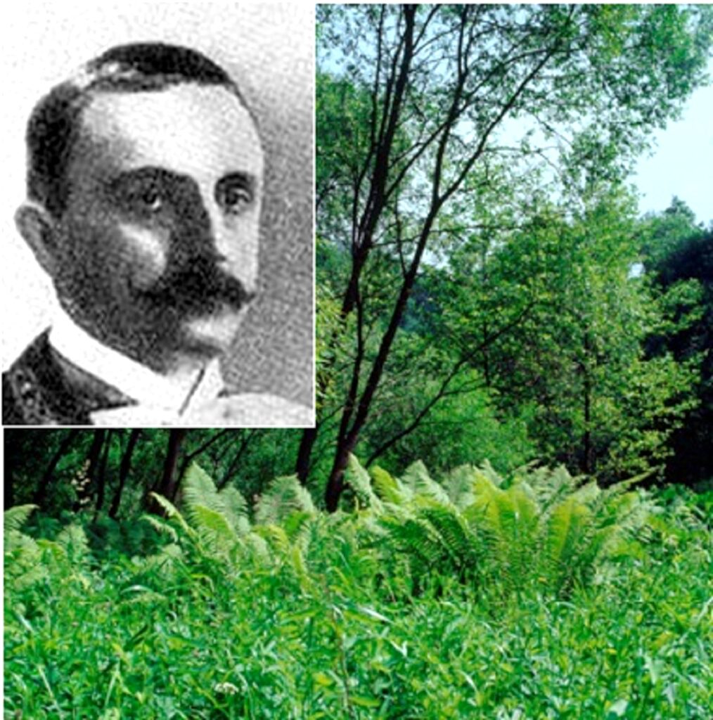 nemesradnot-strucc-pafrany-5