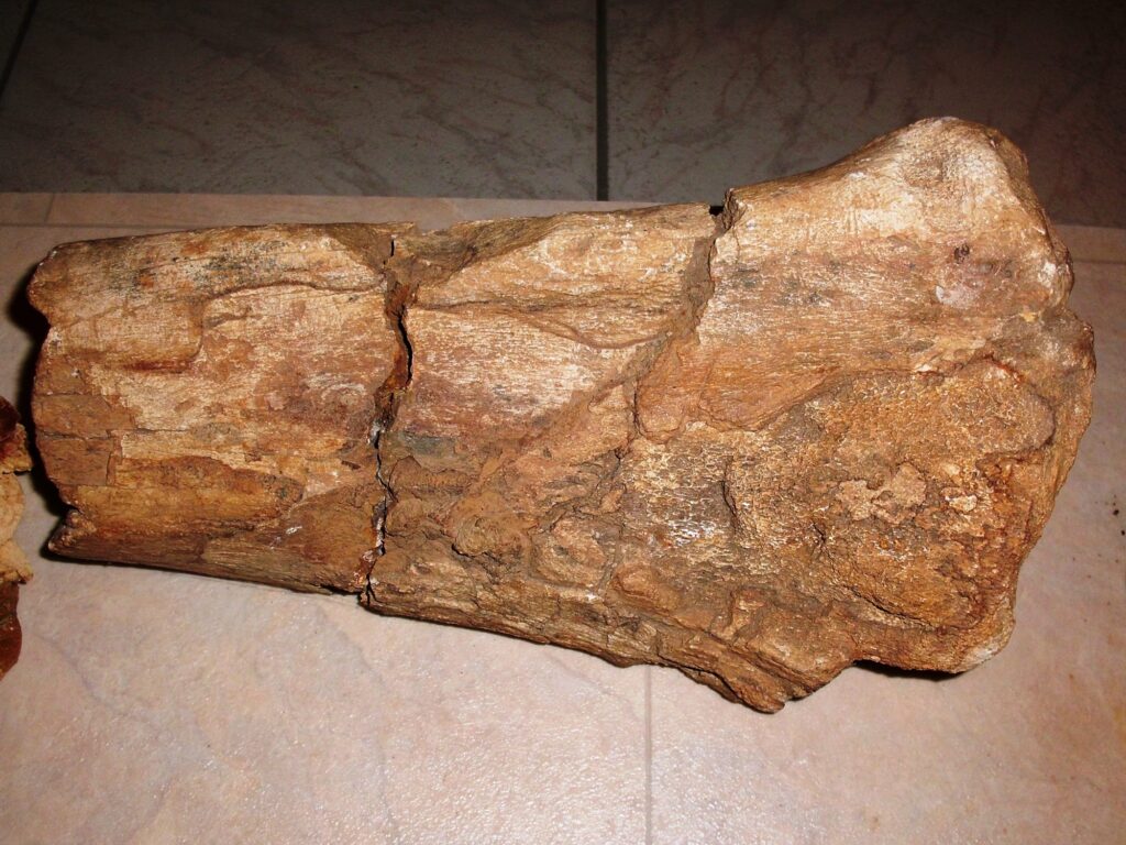 alsobodok-harmadkori-osallat-lelohely-2a