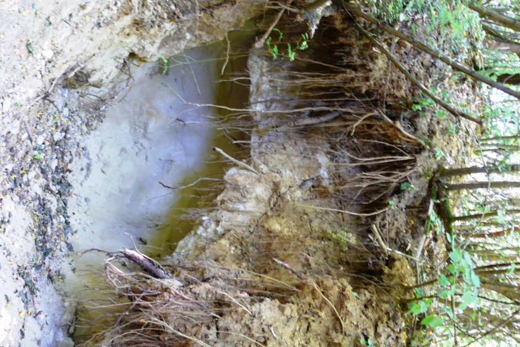 alsobodok-harmadkori-osallat-lelohely-1a