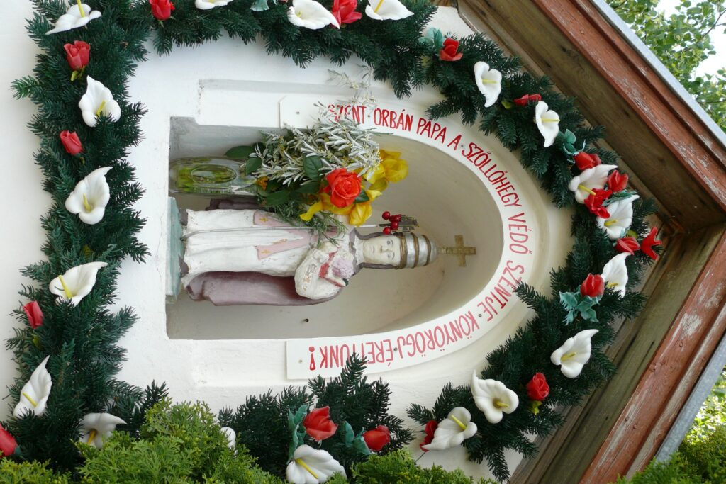 alsobodok-bodoki-szolohegy-es-bor-2a