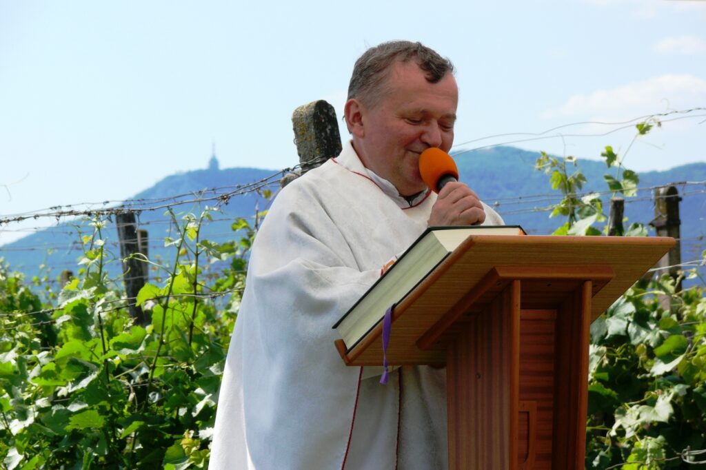 alsobodok-bodoki-szolohegy-es-bor-3a