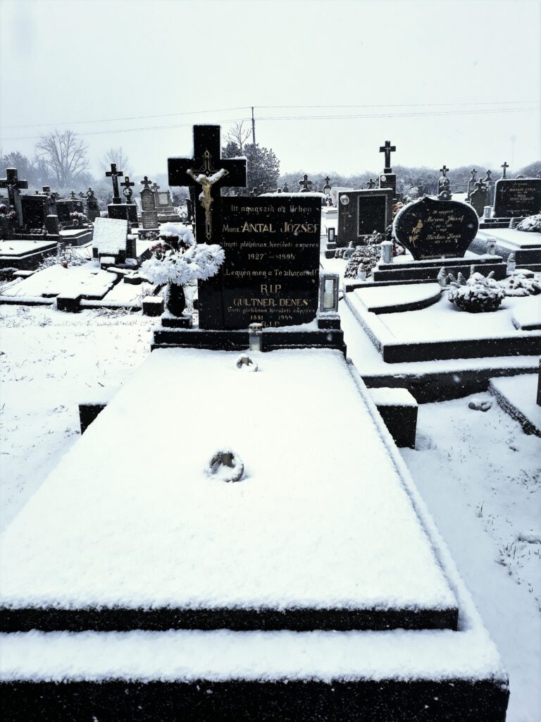 Bart-gurtler-antal-denes-2