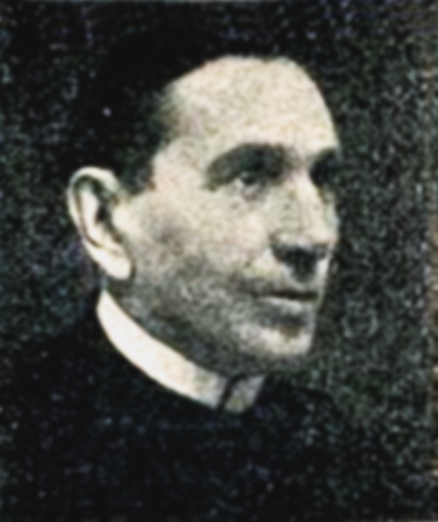 Bart-gurtler-antal-denes-3