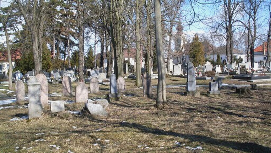 csicso-zsido-temeto-2