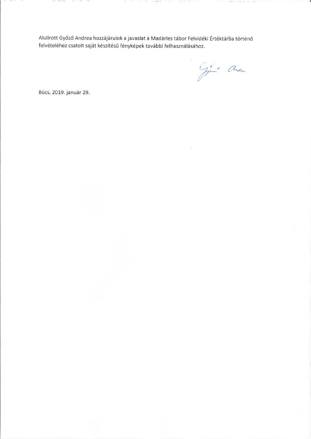 bucs-madarles-tabor-javaslat