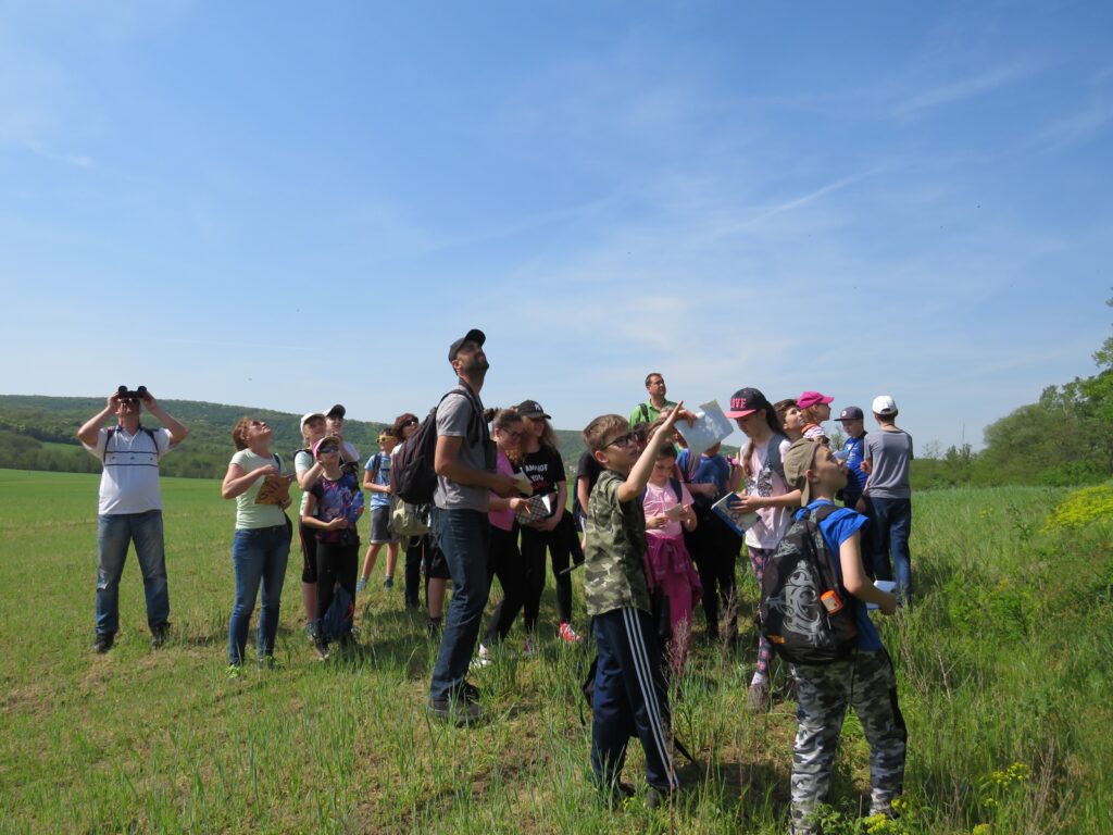 bucs-madarles-tabor-1