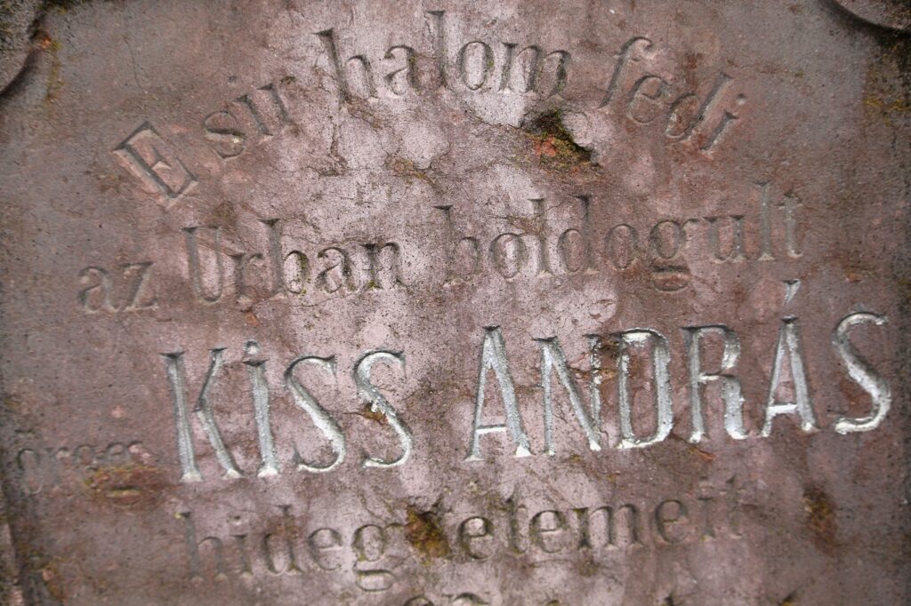 bucs-regi-sirkovek-4