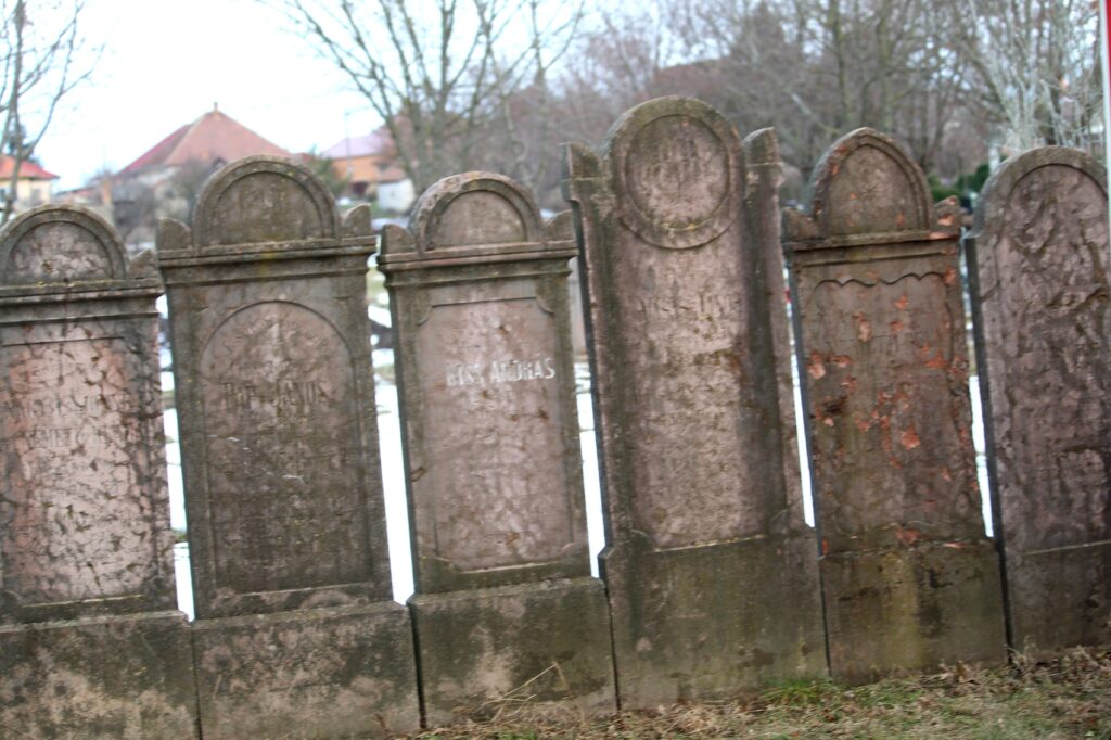 bucs-regi-sirkovek-2