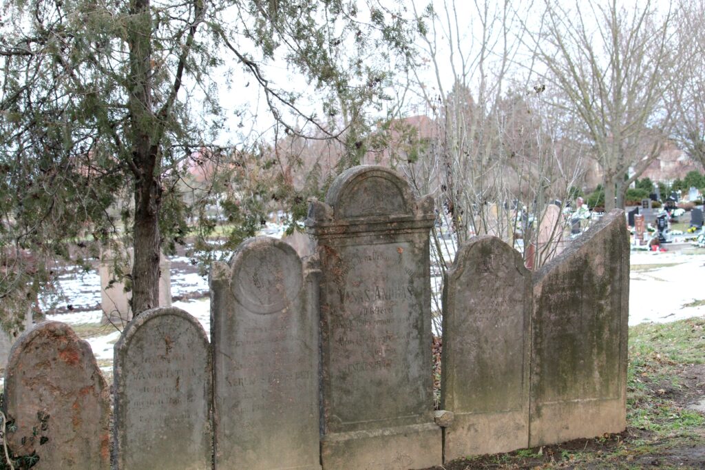 bucs-regi-sirkovek-1