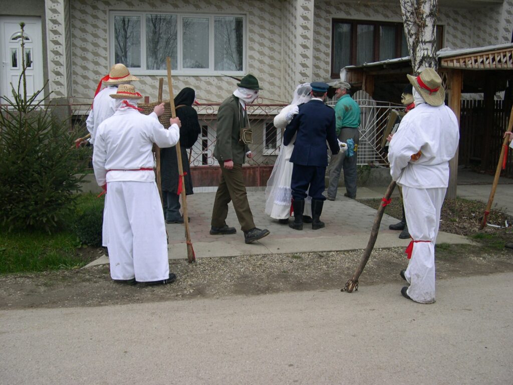 vagfarkasd-tokehuzas-1