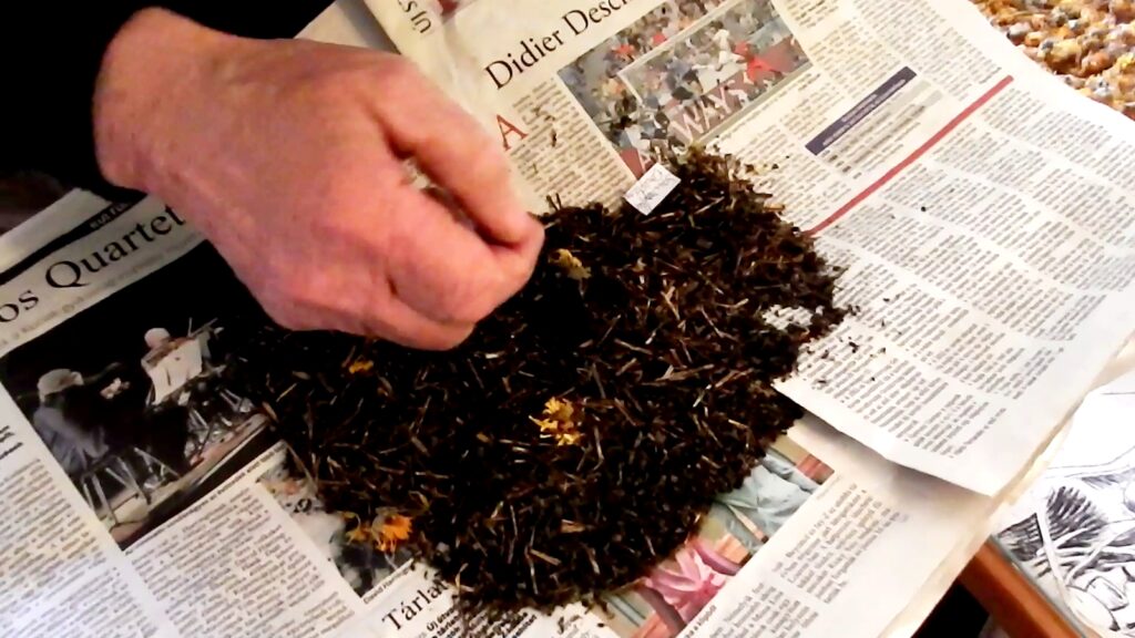 vagfarkasd-gyogyfuves-2