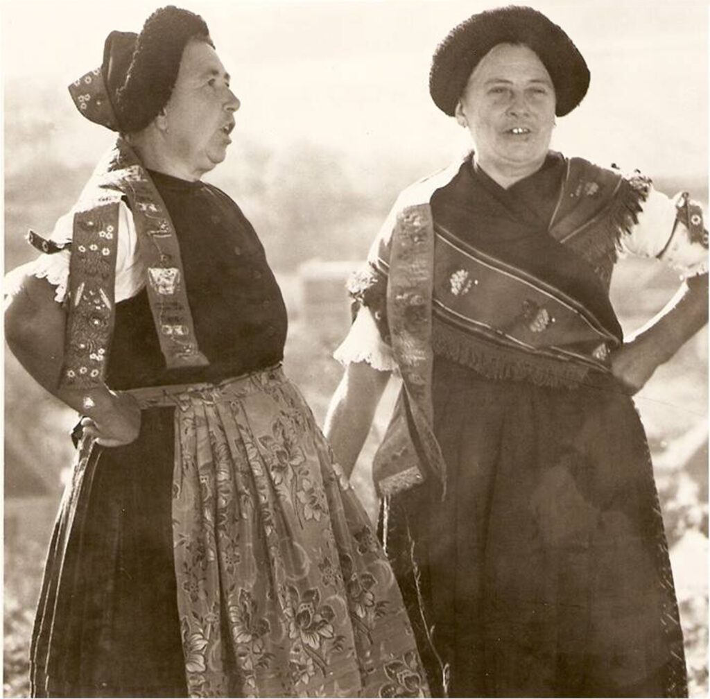 madari_nepviselet -1a