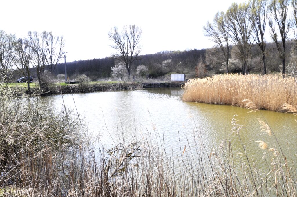 Madar_termeszeti_kincsei_ertek (10)