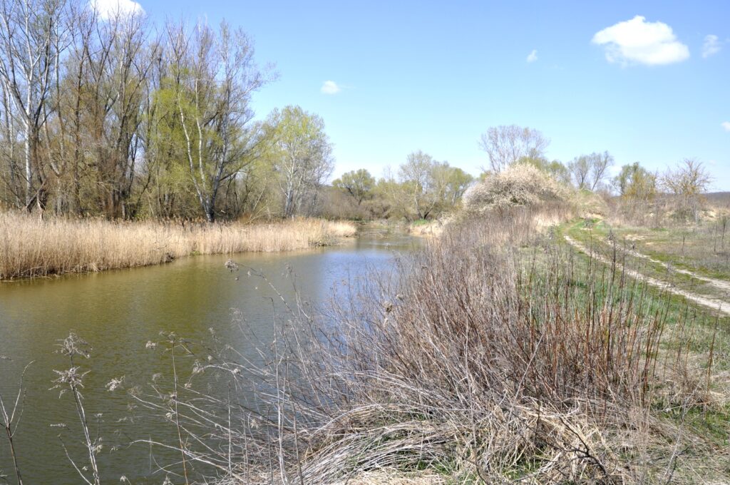 Madar_termeszeti_kincsei_ertek (9)