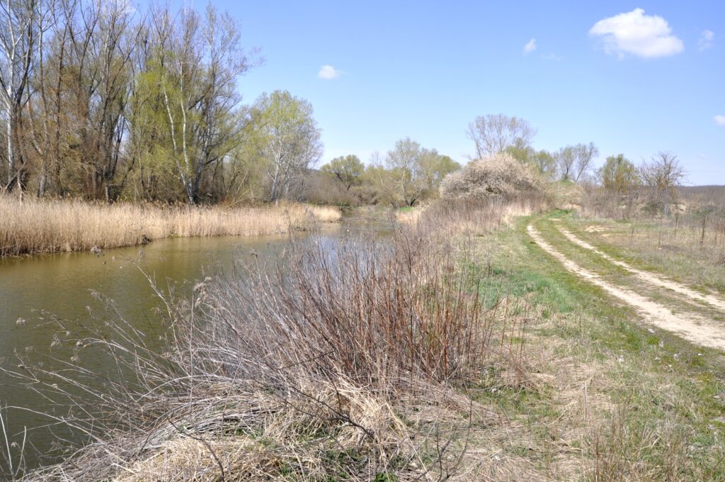 Madar_termeszeti_kincsei_ertek (8)