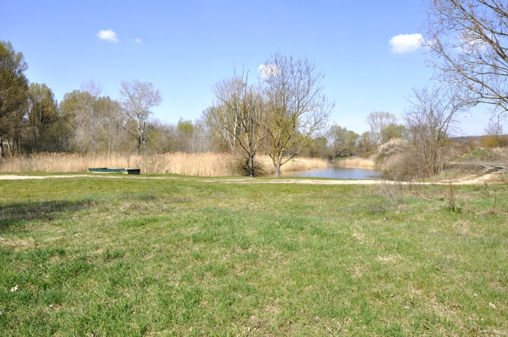 Madar_termeszeti_kincsei_ertek (5)