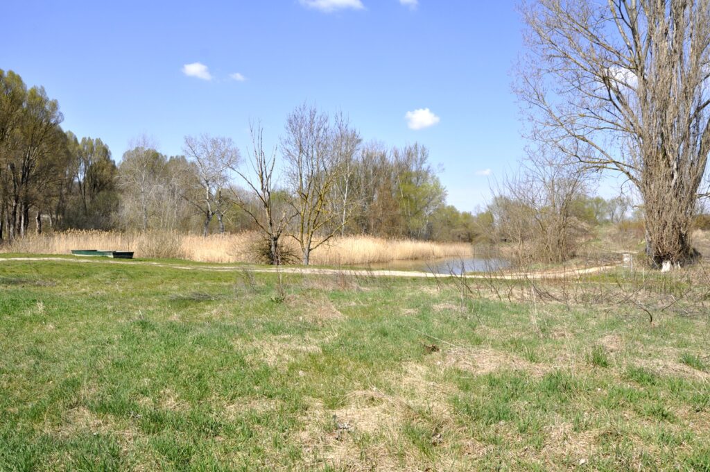 Madar_termeszeti_kincsei_ertek (6)