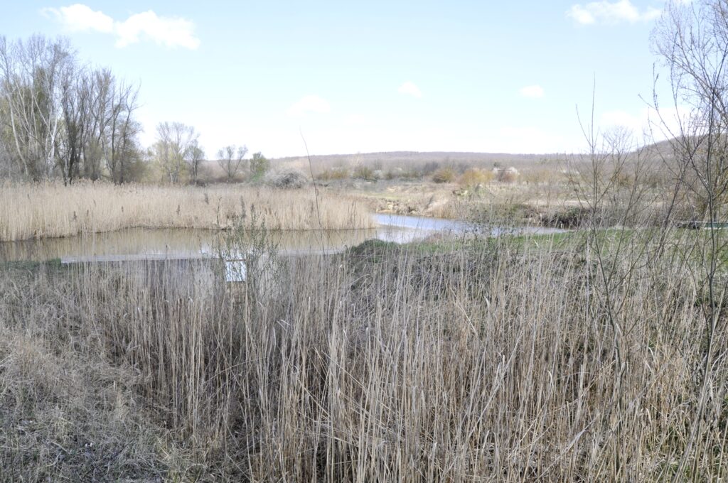 Madar_termeszeti_kincsei_ertek (4)