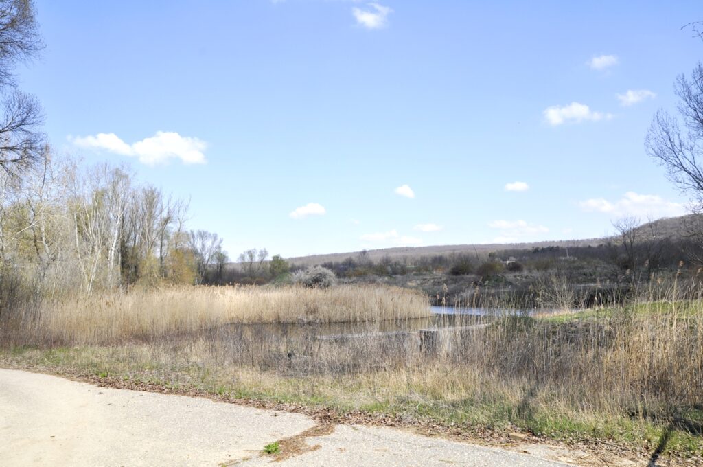 Madar_termeszeti_kincsei_ertek (3)