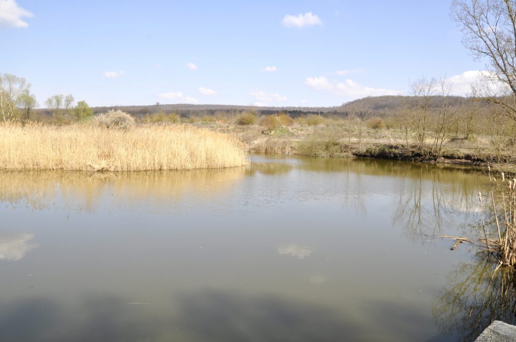 Madar_termeszeti_kincsei_ertek (2)