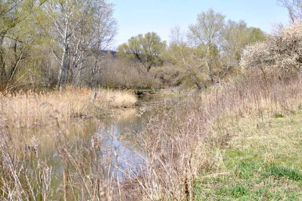 Madar_termeszeti_kincsei_ertek (1)