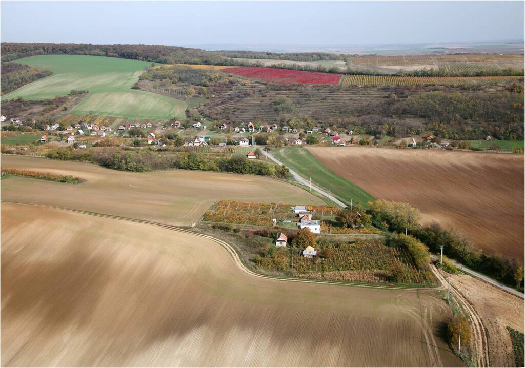 madar-sutyu-volgy_melyut_zsidotemeto_arendasok