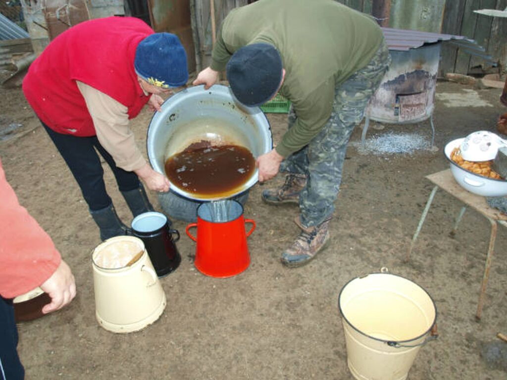 23_Madar_disznotor_zsirleszures