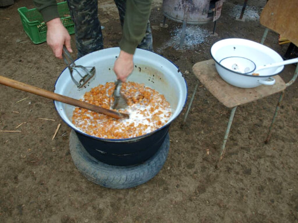 21_Madar_disznotor_toportyu