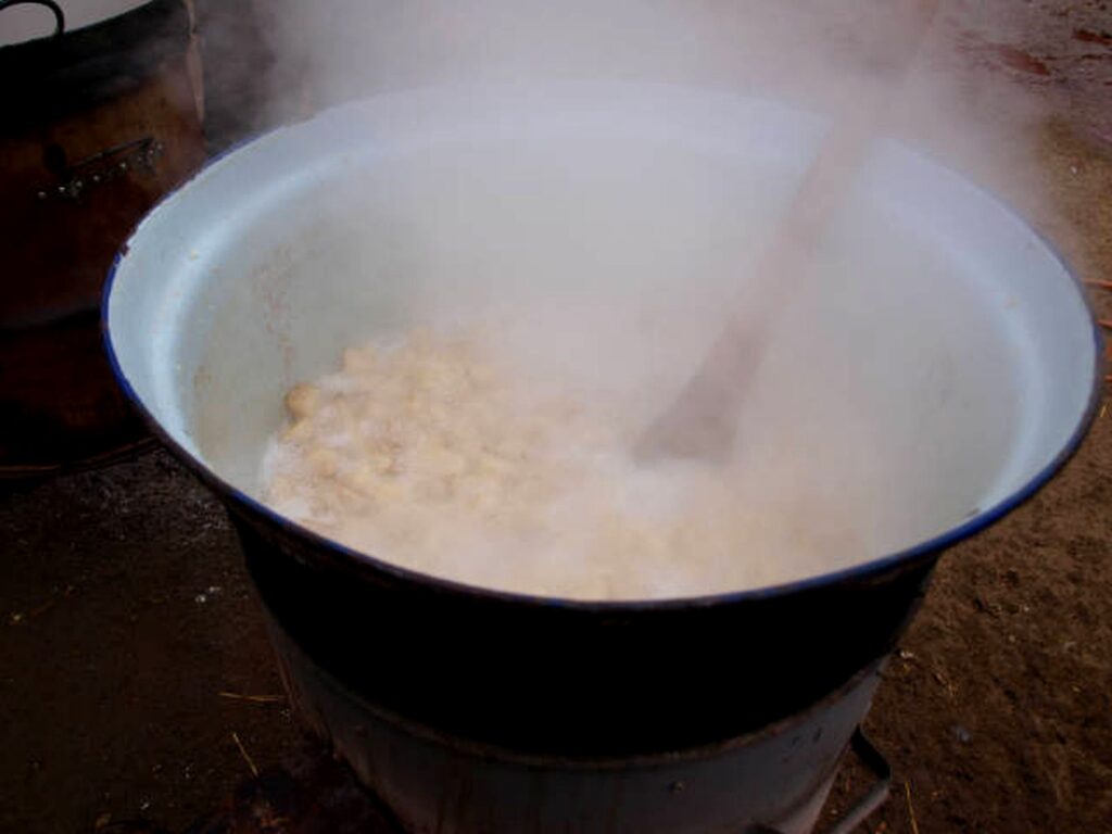 18_Madar_disznotor_zsirsutes1