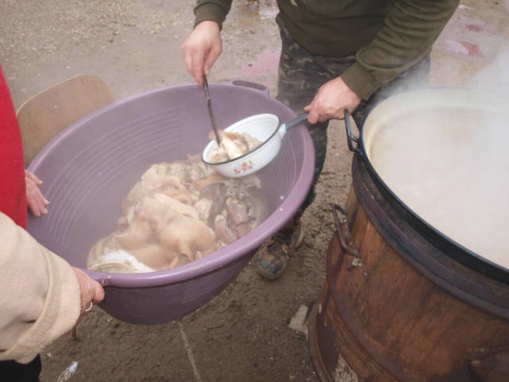 16_Madar_disznotor_fotthusok