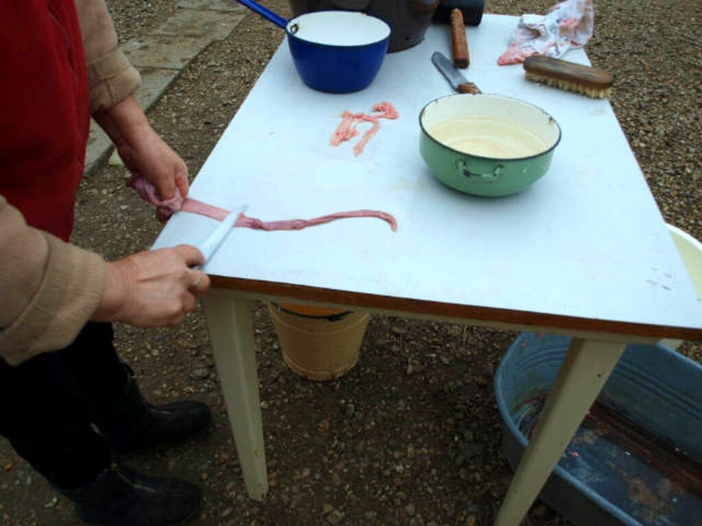 14_Madar_disznotor_beltisztitas