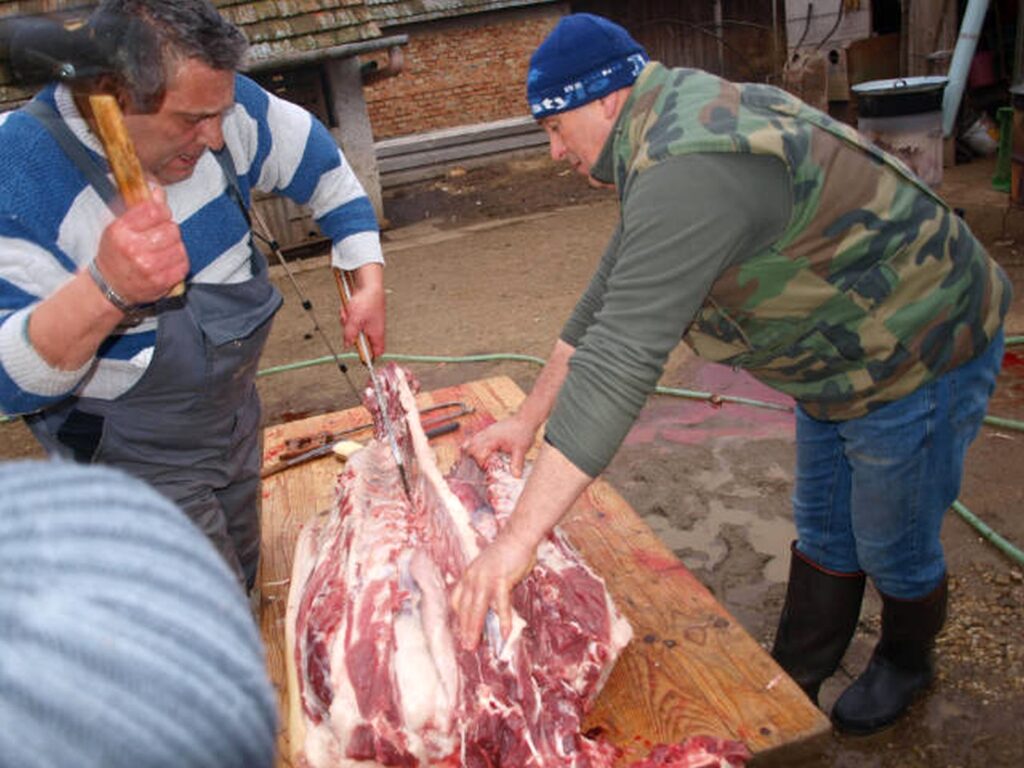 13_Madar_disznotor_malcszetvagas4