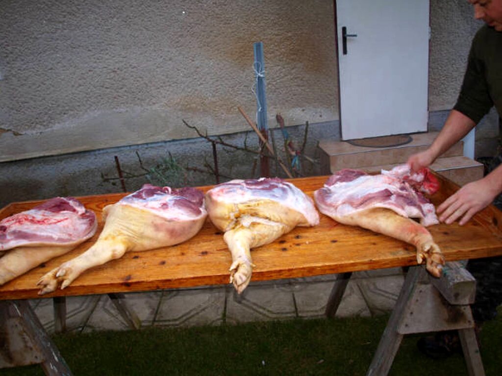 9_Madar_disznotor_malacszetvagasa