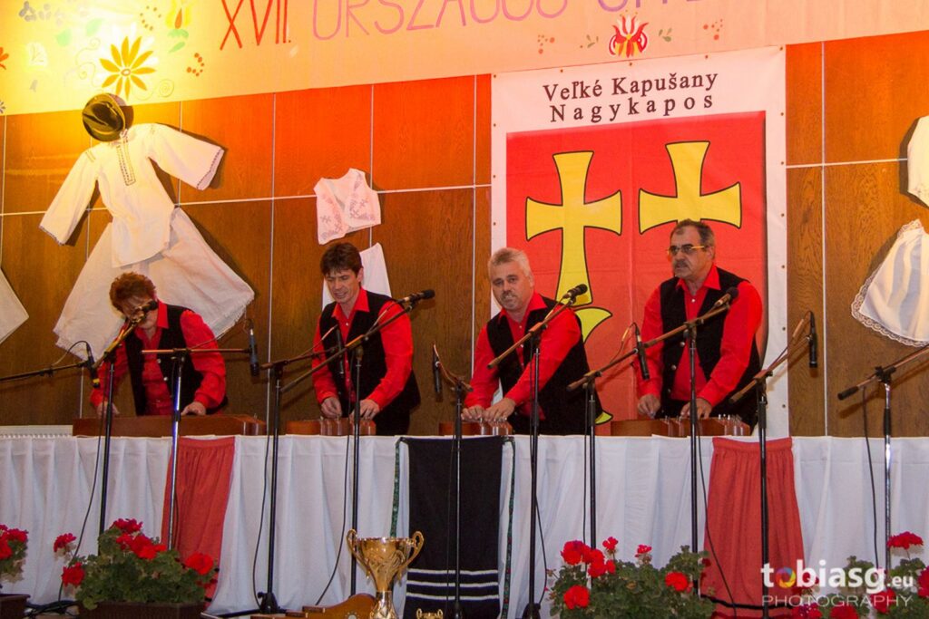 orszagos-citeratalalkozok (17)