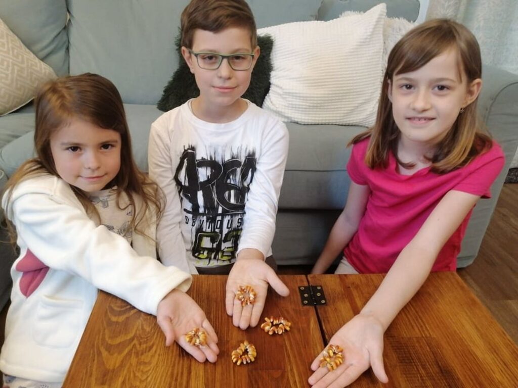 7-gyuran-kukoricazas-02