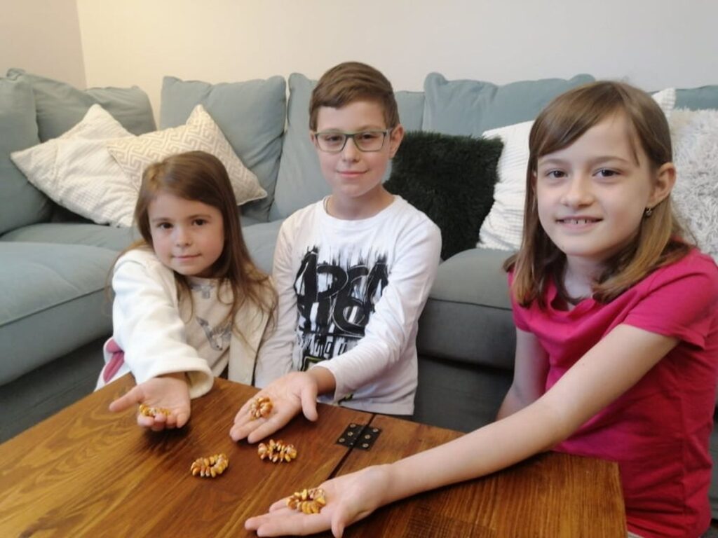 8-gyuran-kukoricazas-03