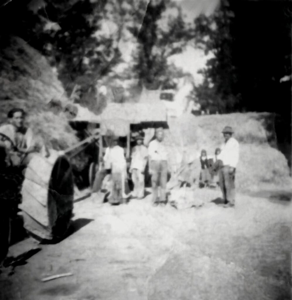 beny-lengyel-menekultek-cseples