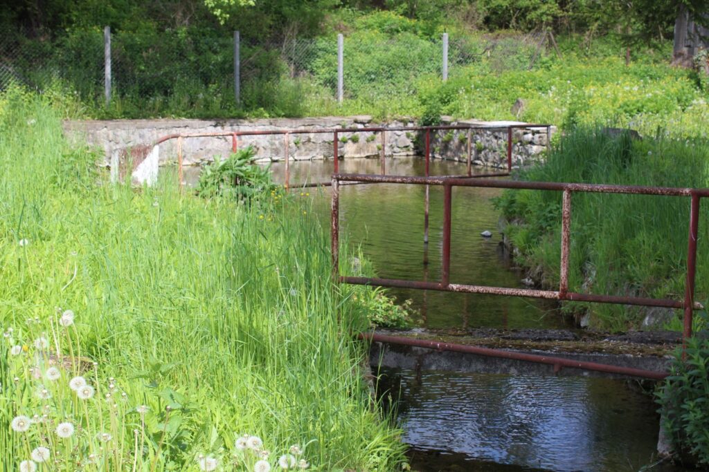 kuntapolca-hoforras (5)