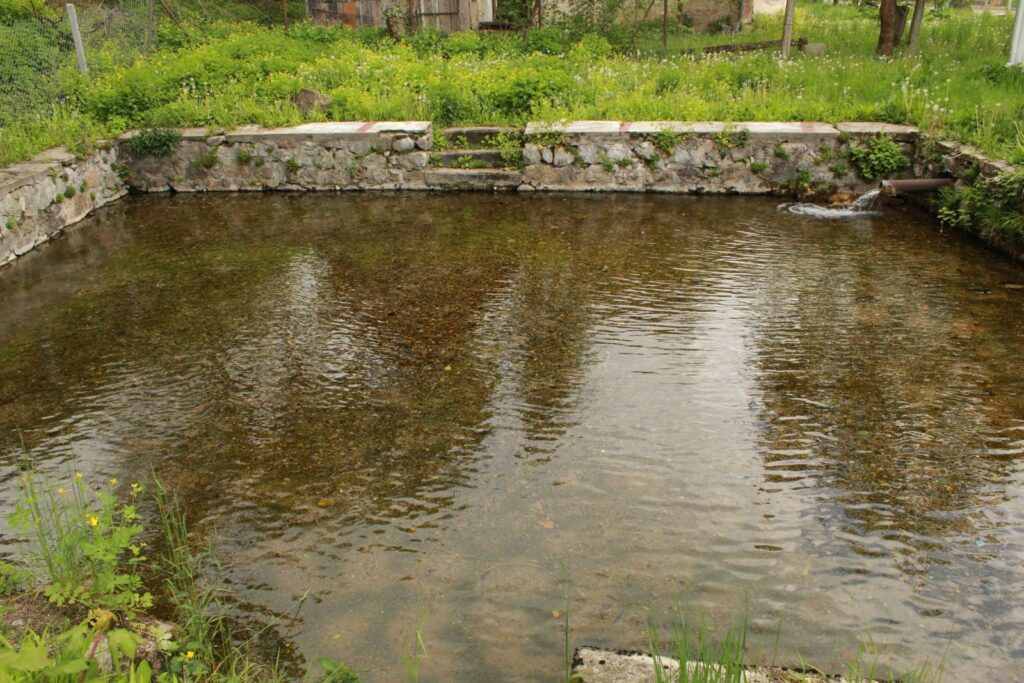 kuntapolca-hoforras (3)