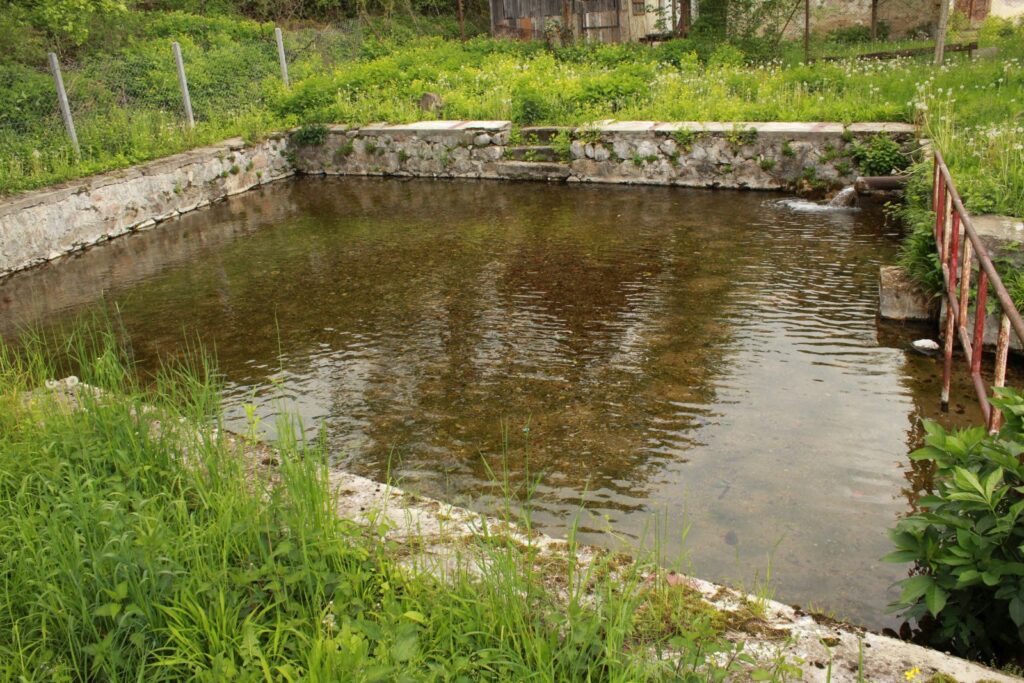 kuntapolca-hoforras (1)