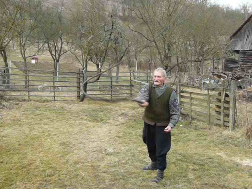 Ostorozás közben, Cselényi József, Lőkösháza