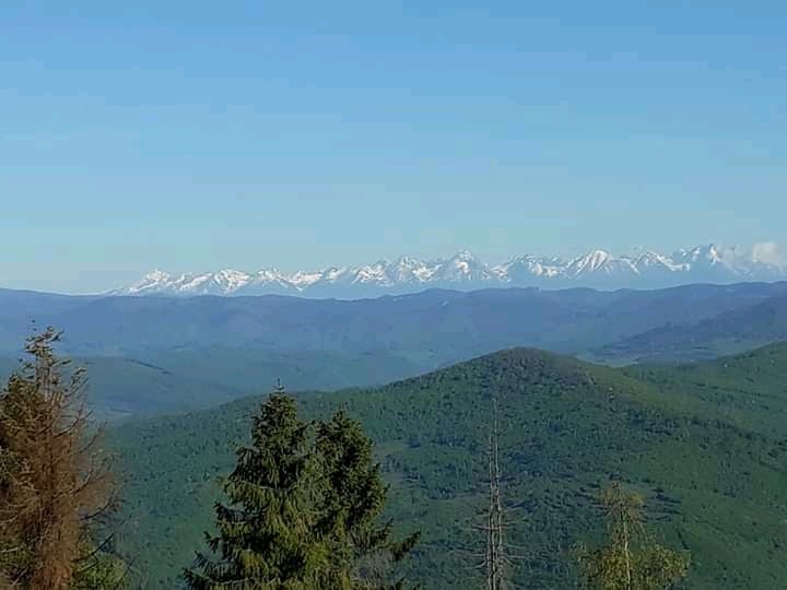 271635763_609693633595548_5510069839278292496_n