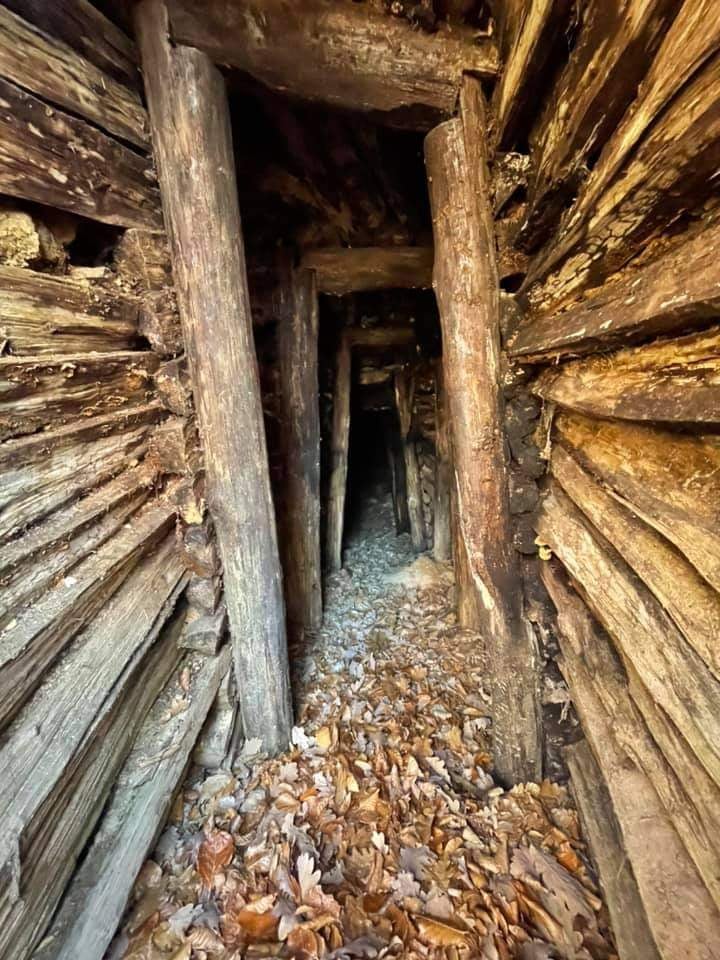 271591734_297817022386593_588253797153667629_n