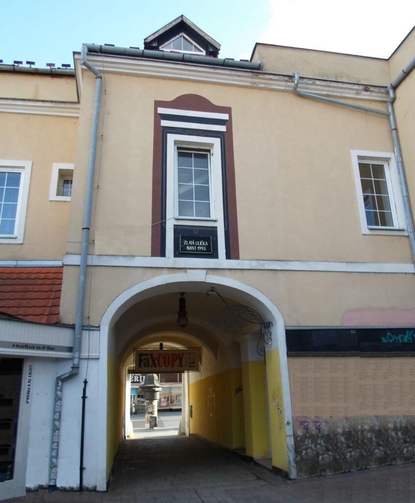 lc-kubinyi-haz-kapualj-udvarbol