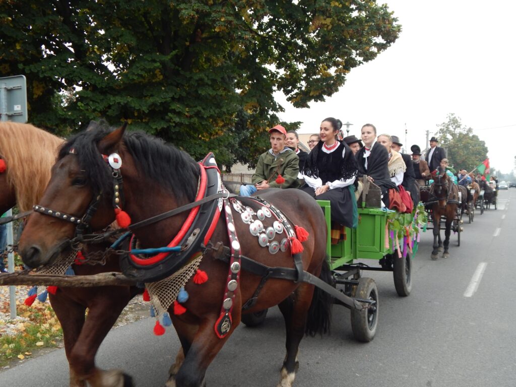 felsoszeli-szureti-hagyomanyok (15)