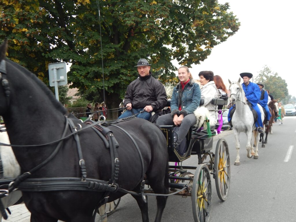 felsoszeli-szureti-hagyomanyok (16)