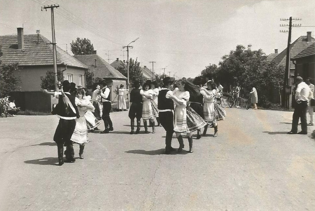 guta-sortancjaras_0063