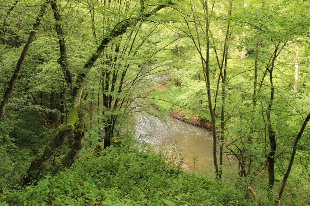 beretke-a-murany-folyo-5